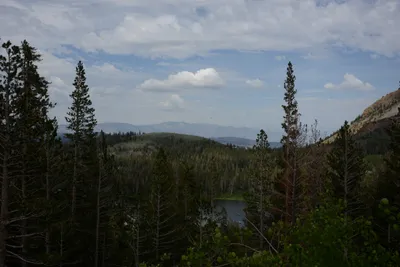 DSC_2936 (Large).JPG